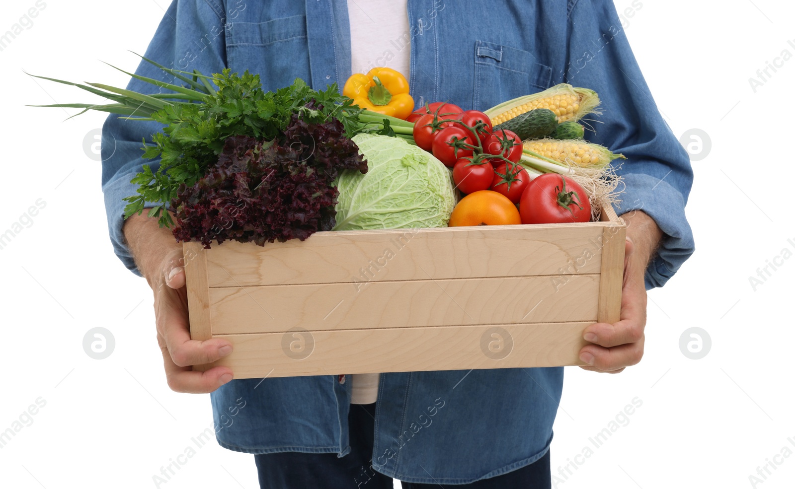 Photo of Harvesting season. Farmer holding wooden crate with vegetables on white background, closeup