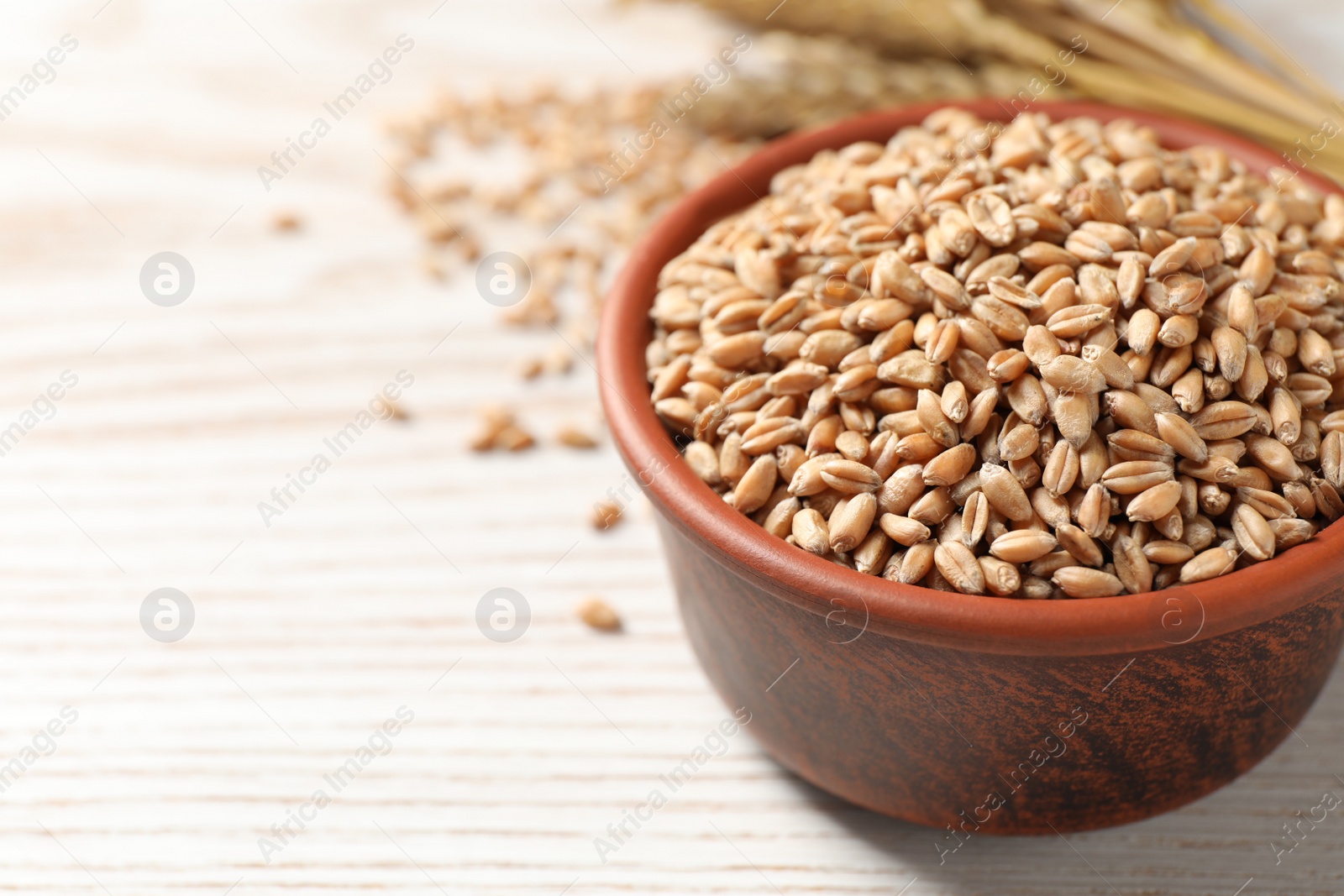 Photo of Wheat grains in bowl on white wooden table, closeup. Space for text