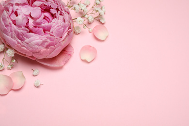 Photo of Beautiful floral composition with peony on pink background, flat lay. Space for text