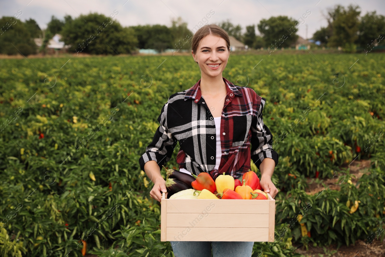 Photo of Farmer with wooden crate full of different vegetables in field. Harvesting time