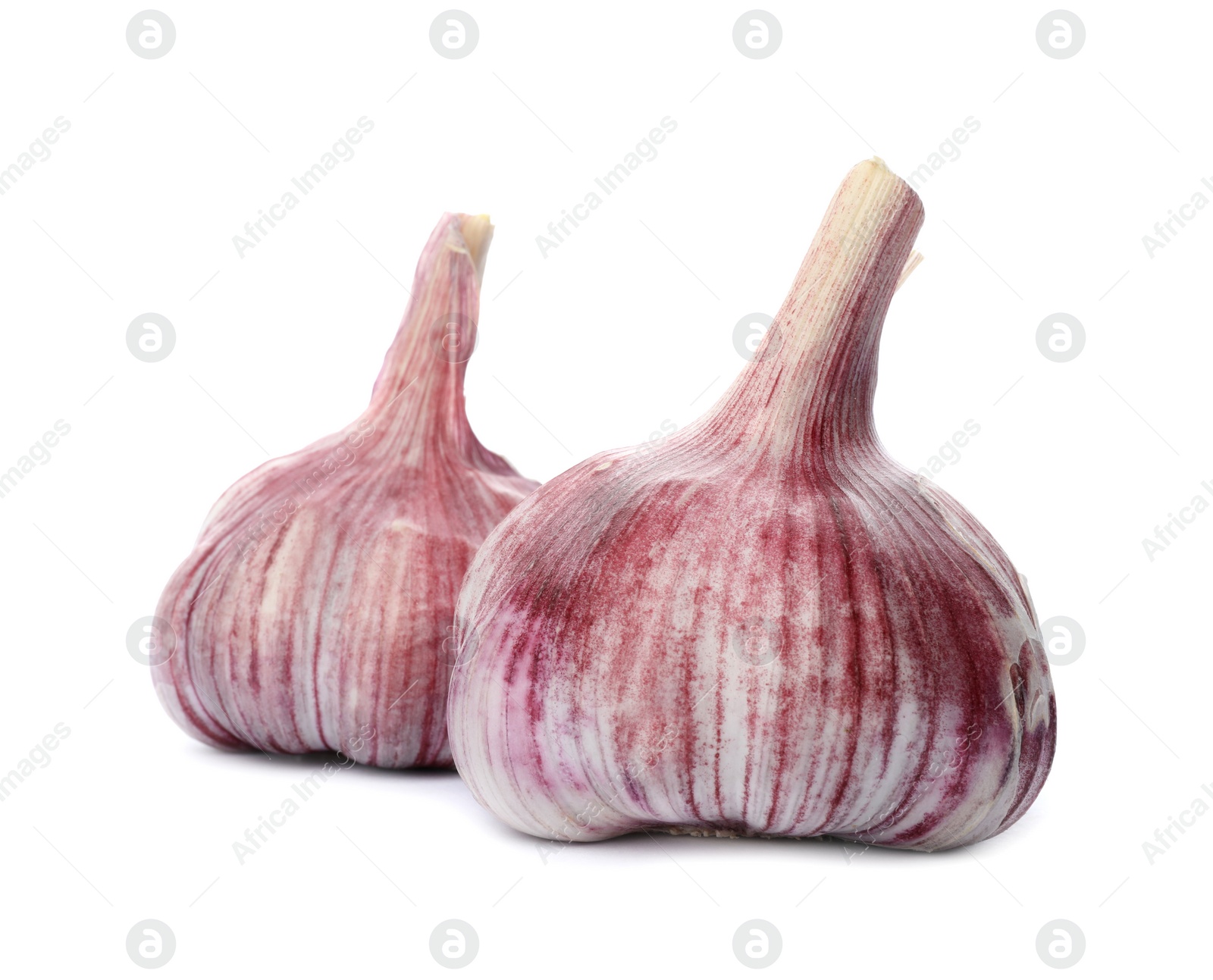 Photo of Heads of fresh garlic isolated on white