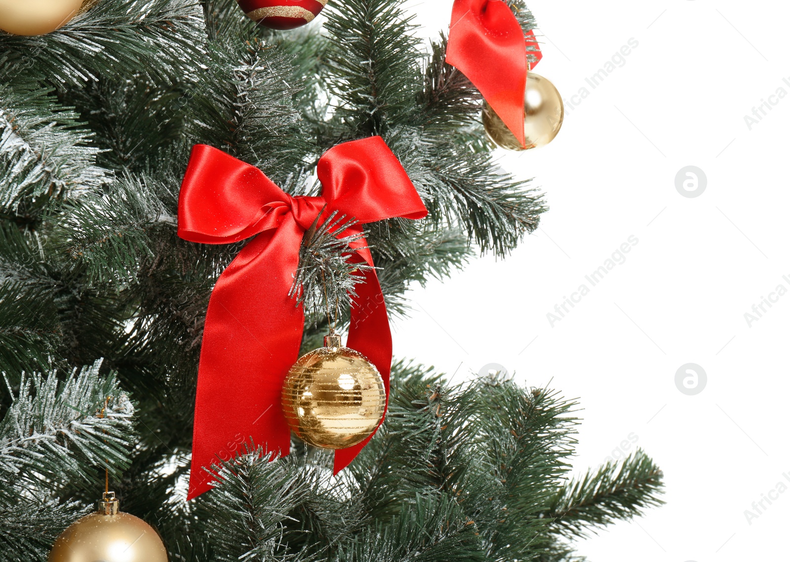 Photo of Beautiful Christmas tree with decor on white background, closeup. Celebration time