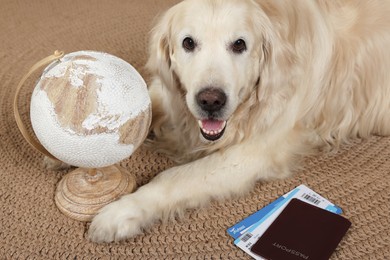 Photo of Cute golden retriever lying near passport, tickets and globe on floor at home. Travelling with pet