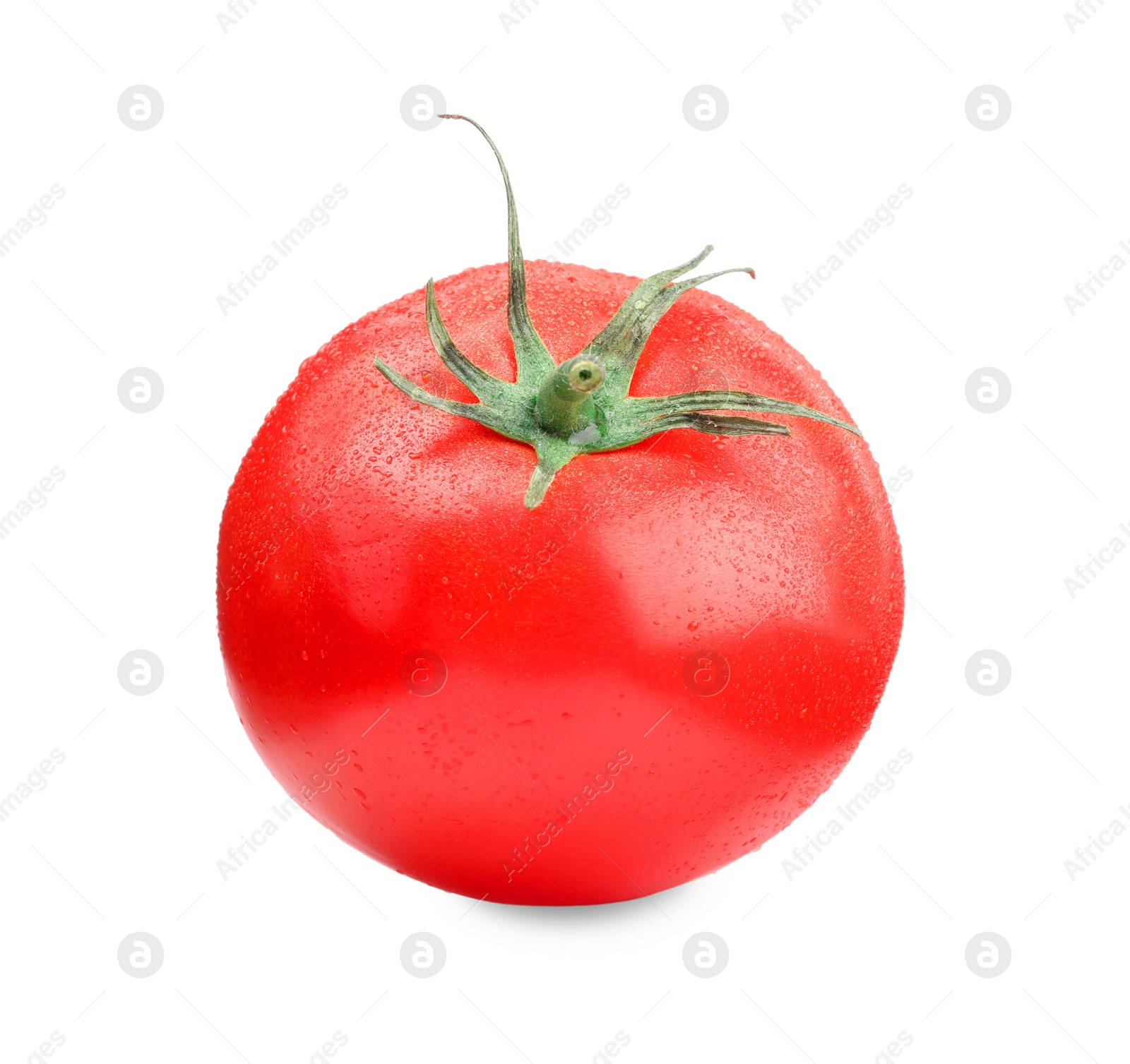 Photo of One red ripe tomato with water drops isolated on white