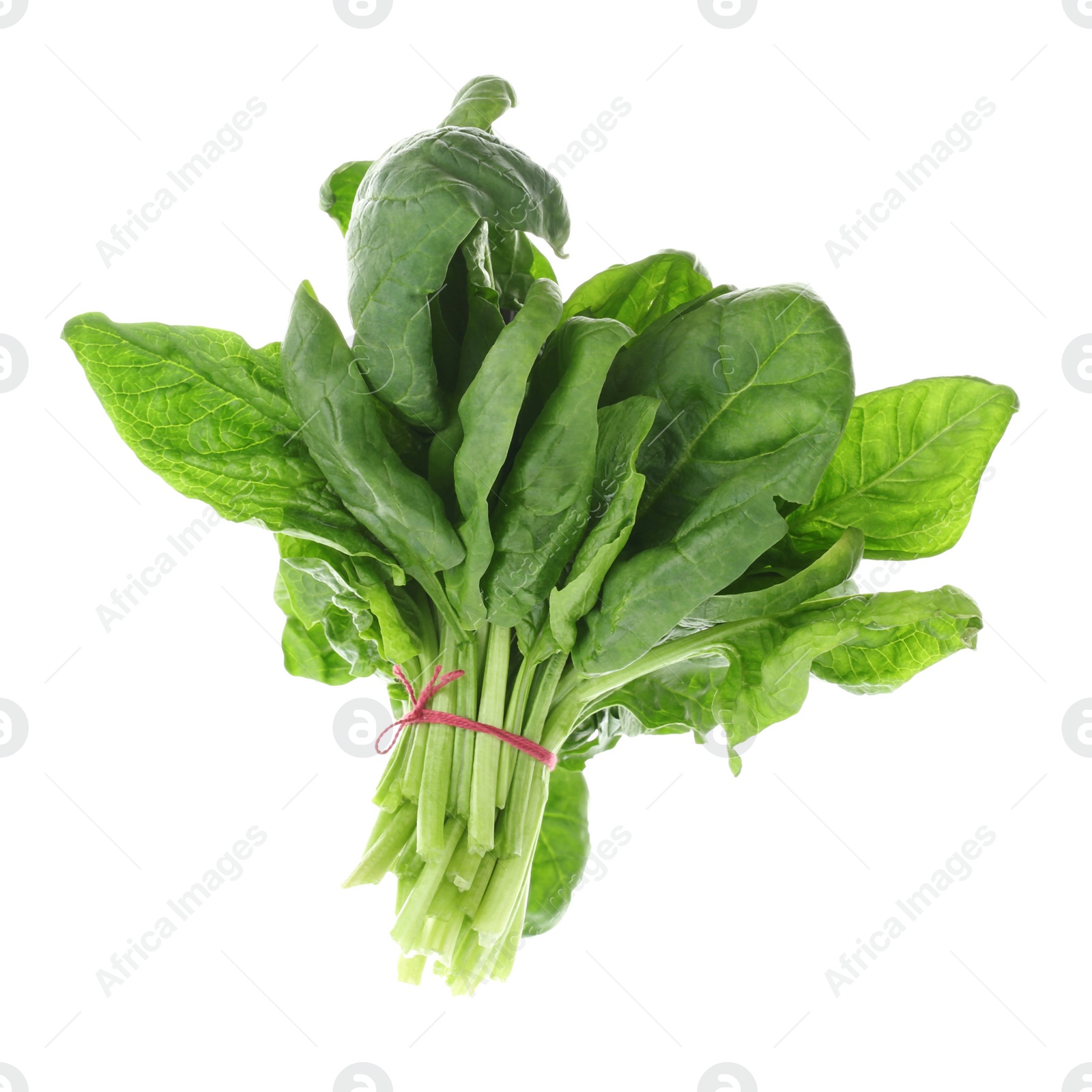 Photo of Bundle of fresh spinach isolated on white