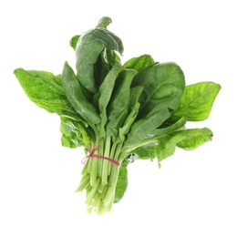 Bundle of fresh spinach isolated on white