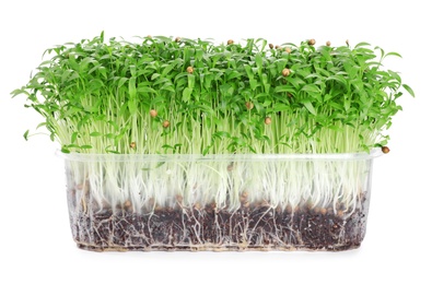 Photo of Fresh organic microgreen in plastic container on white background