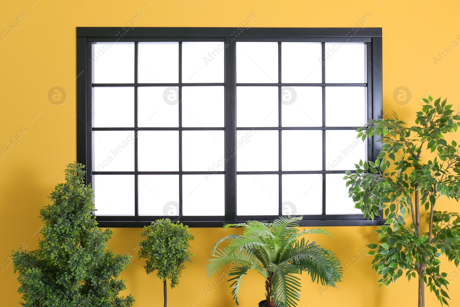 Photo of Empty colorful wall with window. Home interior