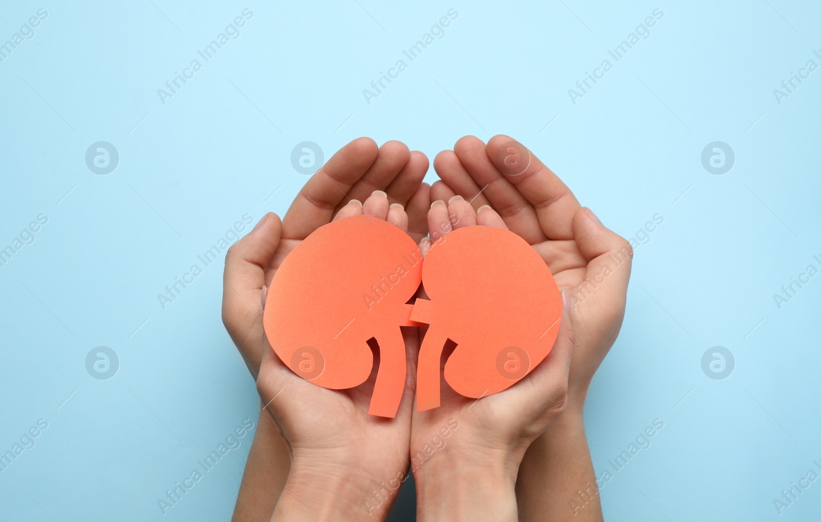 Photo of People holding paper cutout of kidneys on light blue background, top view