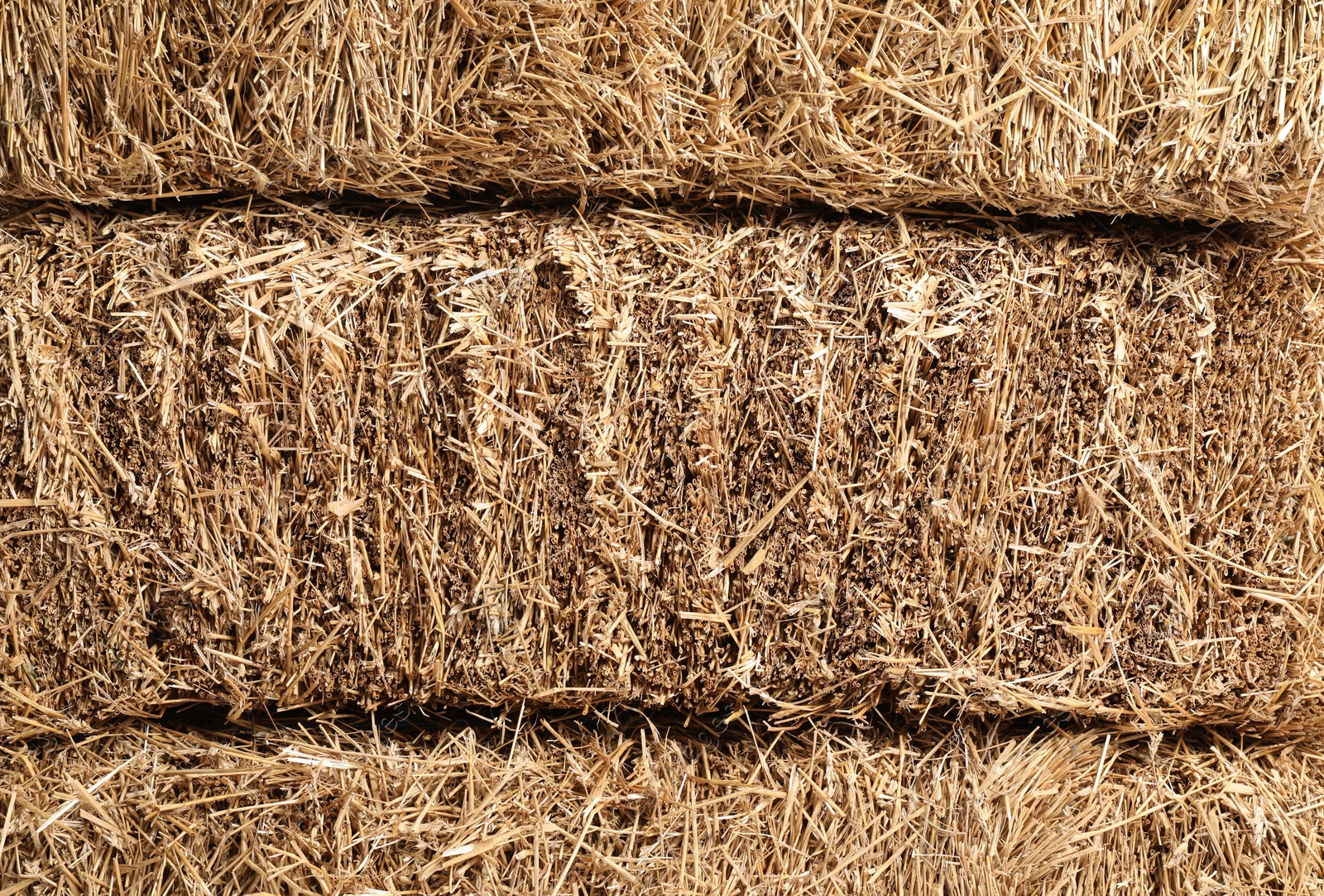 Photo of Bales of dried straw as background, closeup