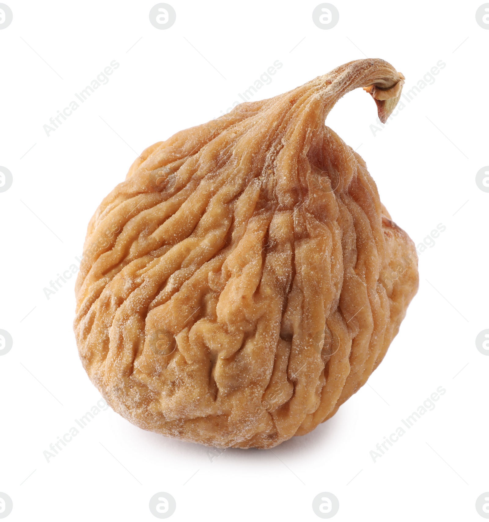 Photo of One tasty dried fig isolated on white