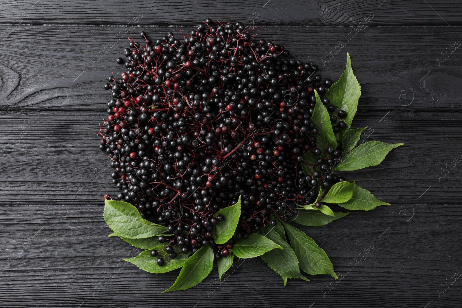 Photo of Ripe elderberries with green leaves on black wooden table, flat lay