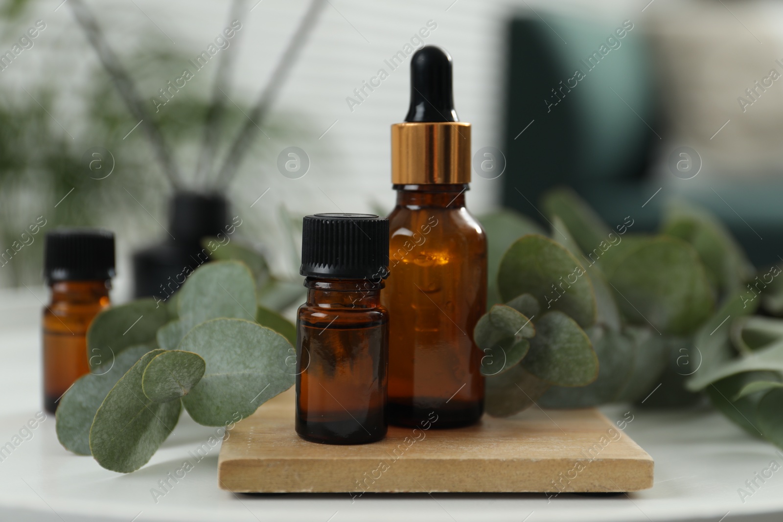 Photo of Aromatherapy. Bottles of essential oil and eucalyptus leaves on white table