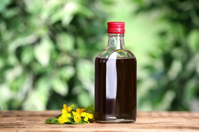 Photo of Bottle of celandine tincture and plant on wooden table outdoors