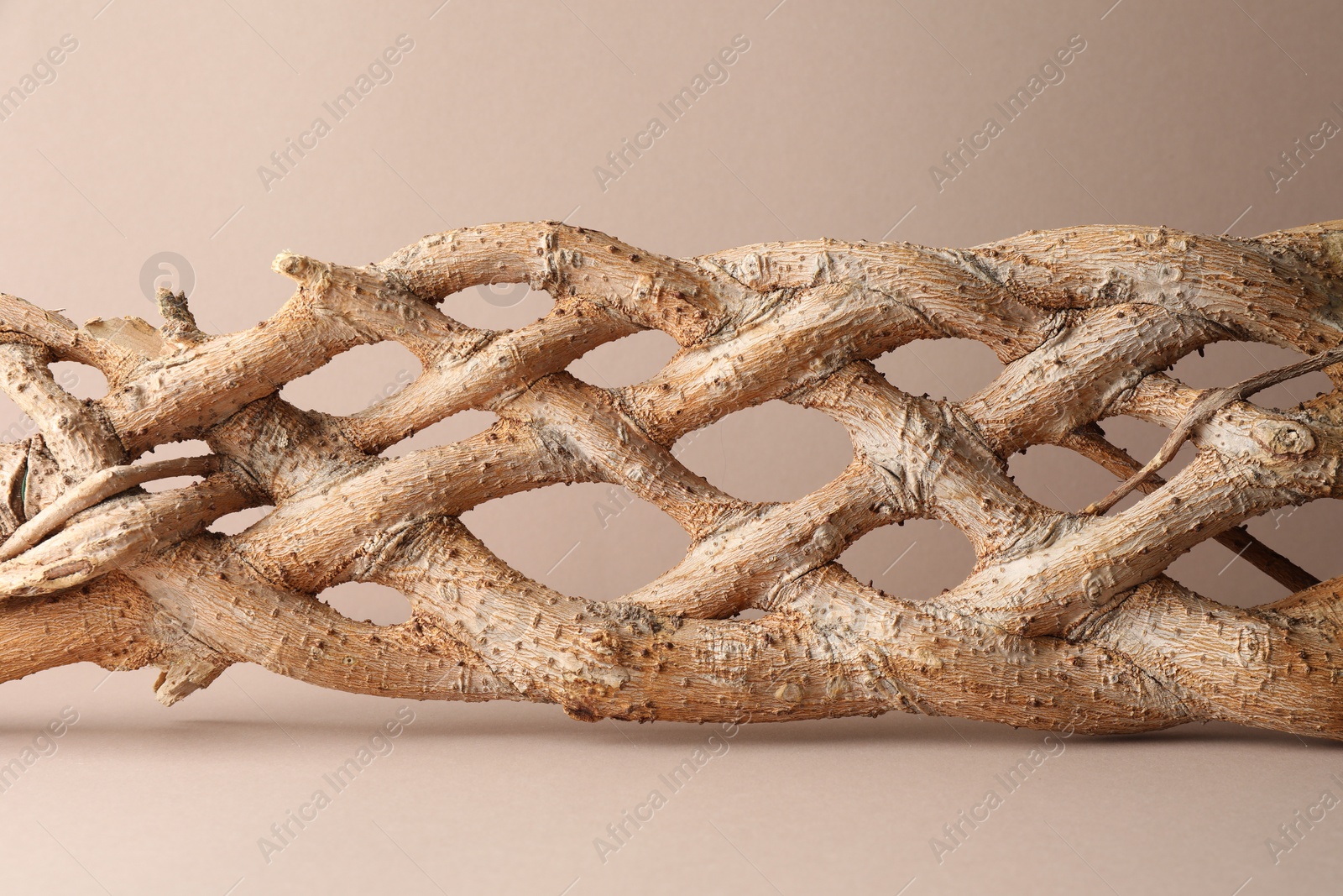 Photo of Presentation for product. Braided tree trunk on beige background