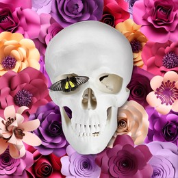 Image of White skull and butterfly among beautiful flowers