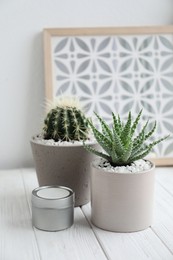 Beautiful Aloe and Cactus in pots with decor on white wooden table. Different house plants