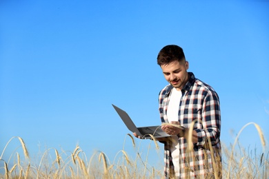 Photo of Agronomist with laptop in wheat field, space for text. Cereal grain crop