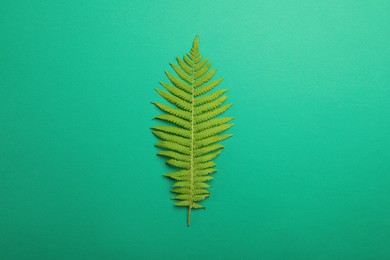 Photo of Beautiful tropical fern leaf on light green background, top view