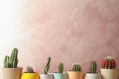 Different potted cacti near color wall, space for text. Interior decor