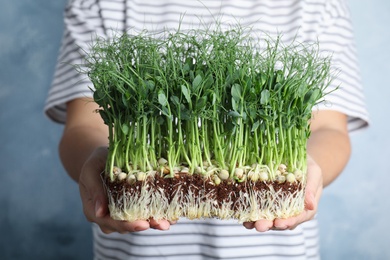 Woman holding fresh microgreen on blue background, closeup