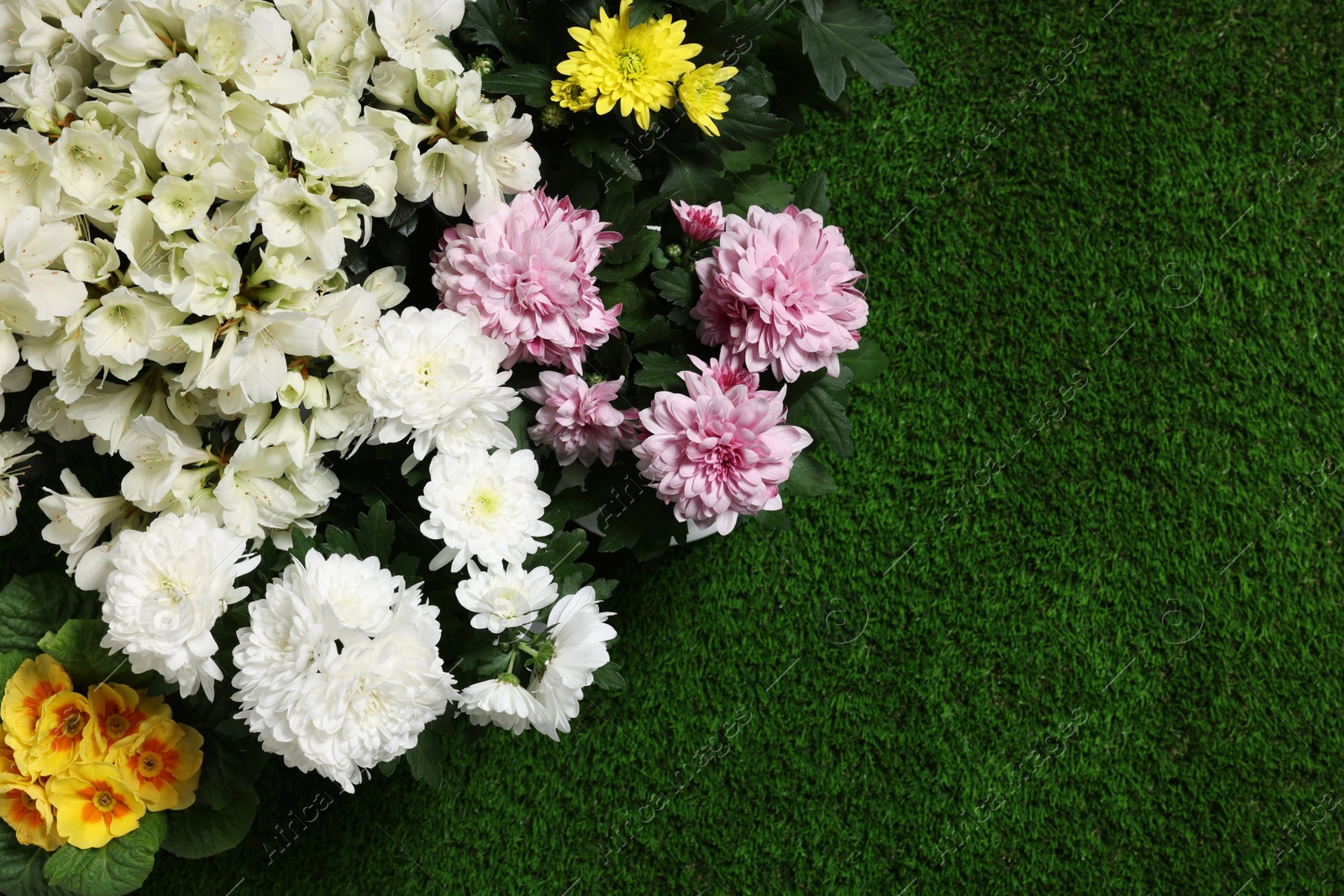 Photo of Different beautiful flowers on green grass, flat lay. Space for text