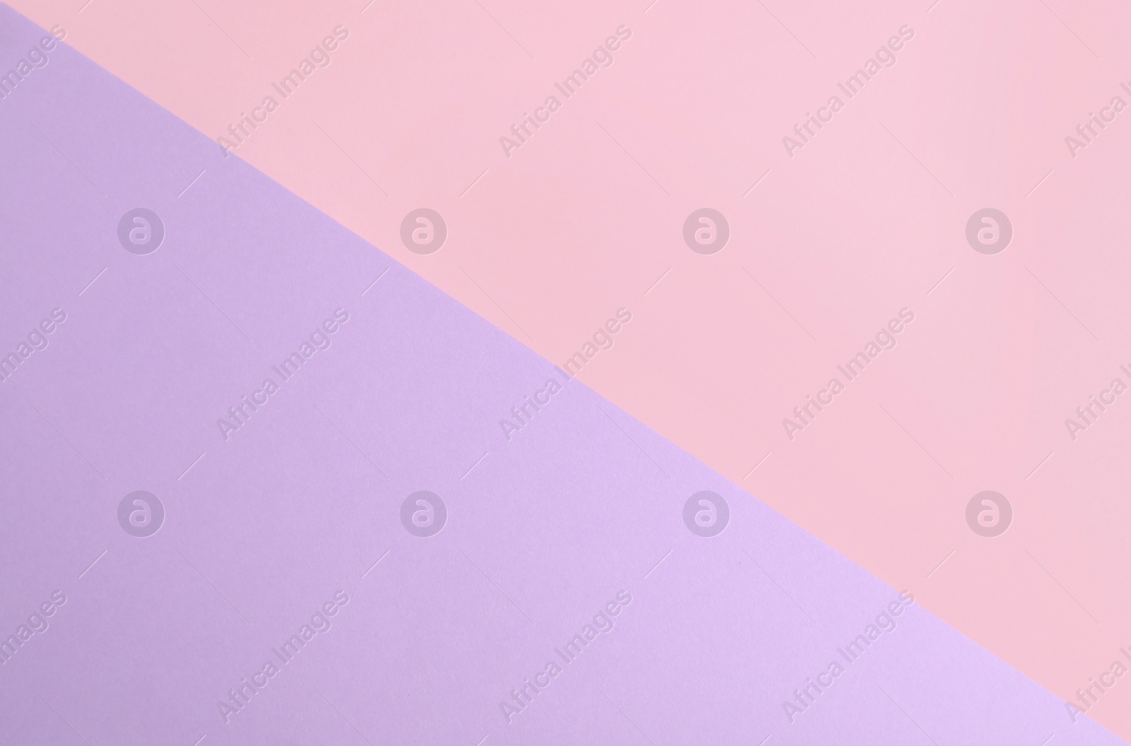 Photo of Violet and pink paper sheets as colorful background, top view