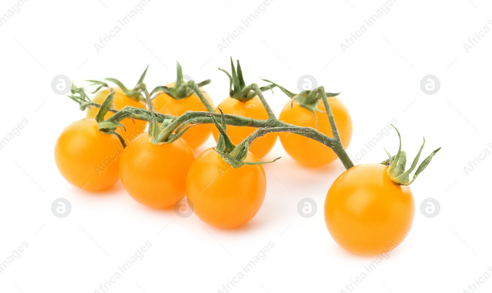 Photo of Branch of ripe yellow cherry tomatoes on white background