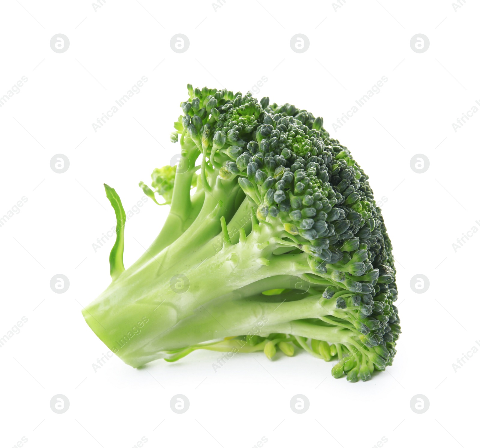 Photo of Fresh broccoli isolated on white. Edible green plant