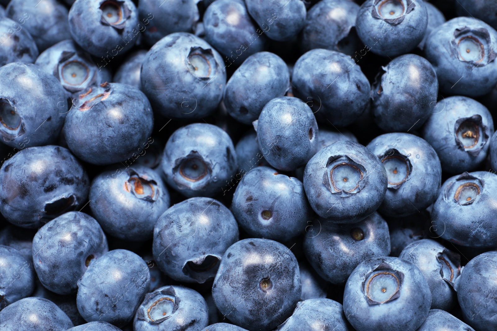 Photo of Many tasty fresh blueberries as background, closeup