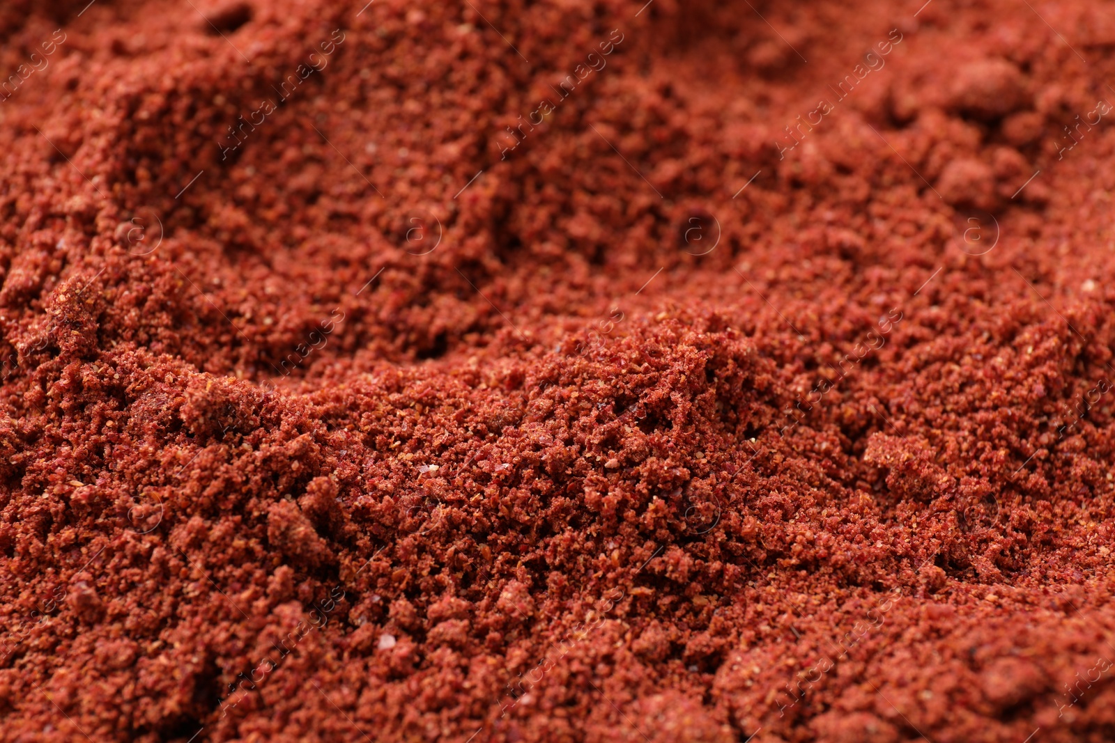 Photo of Bright cranberry powder as background, closeup view