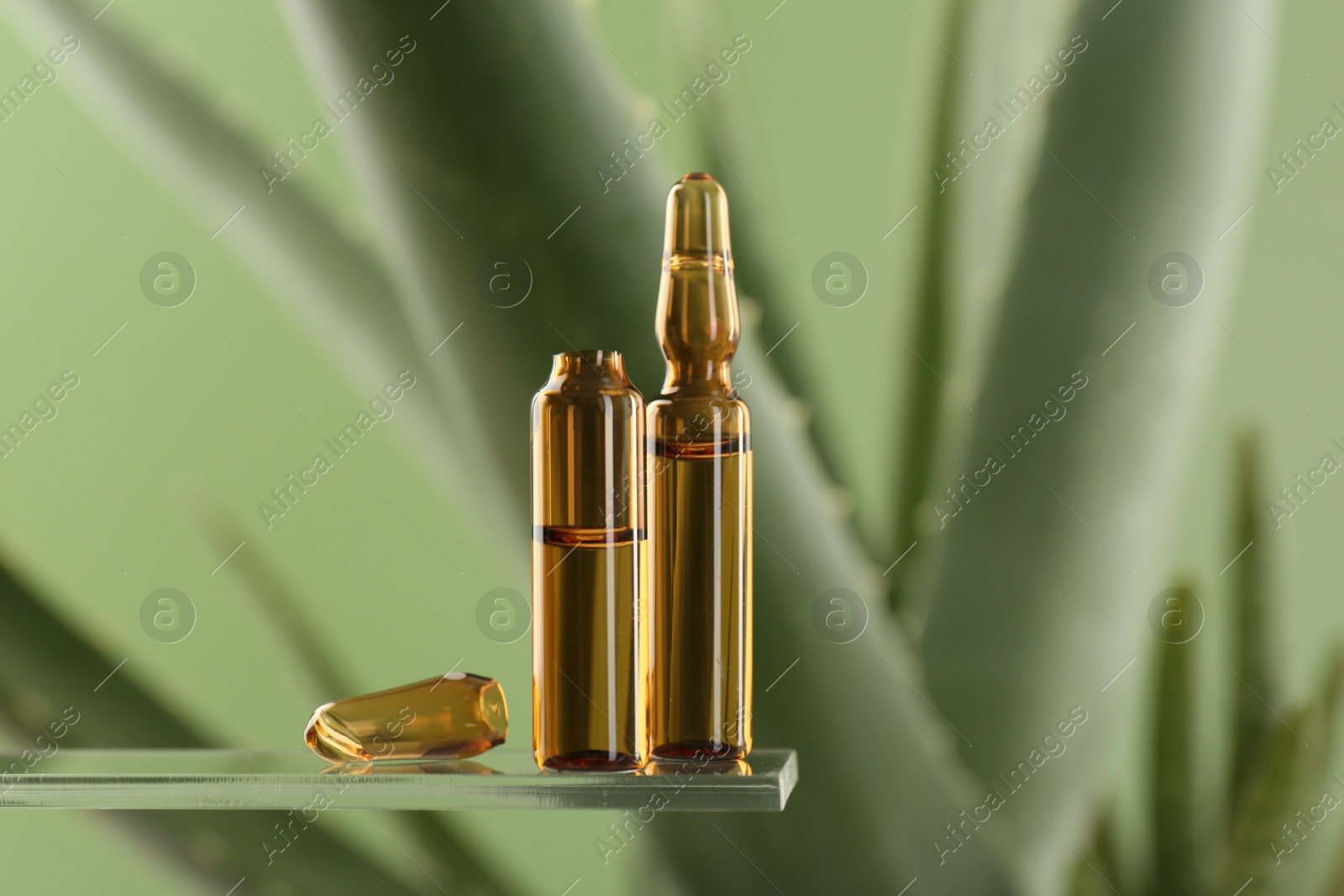 Photo of Skincare ampoules near aloe vera on light green background, closeup