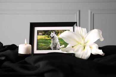 Photo of Frame with picture of dog, burning candle and lily flower on black cloth. Pet funeral