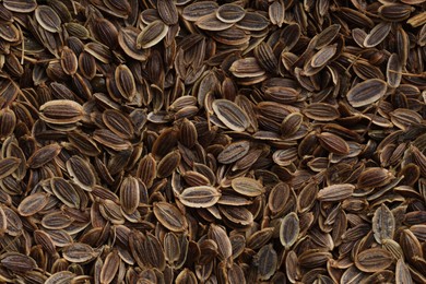 Photo of Many dry dill seeds as background, top view