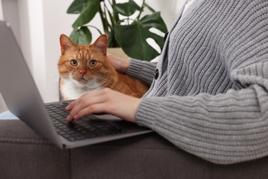 Photo of Woman with cat working in armchair at home , closeup