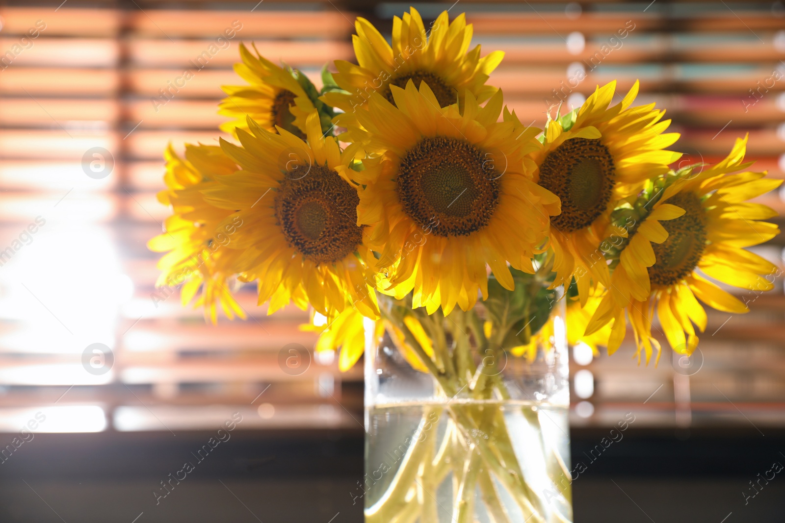 Photo of Bouquet of beautiful sunflowers in vase indoors, closeup