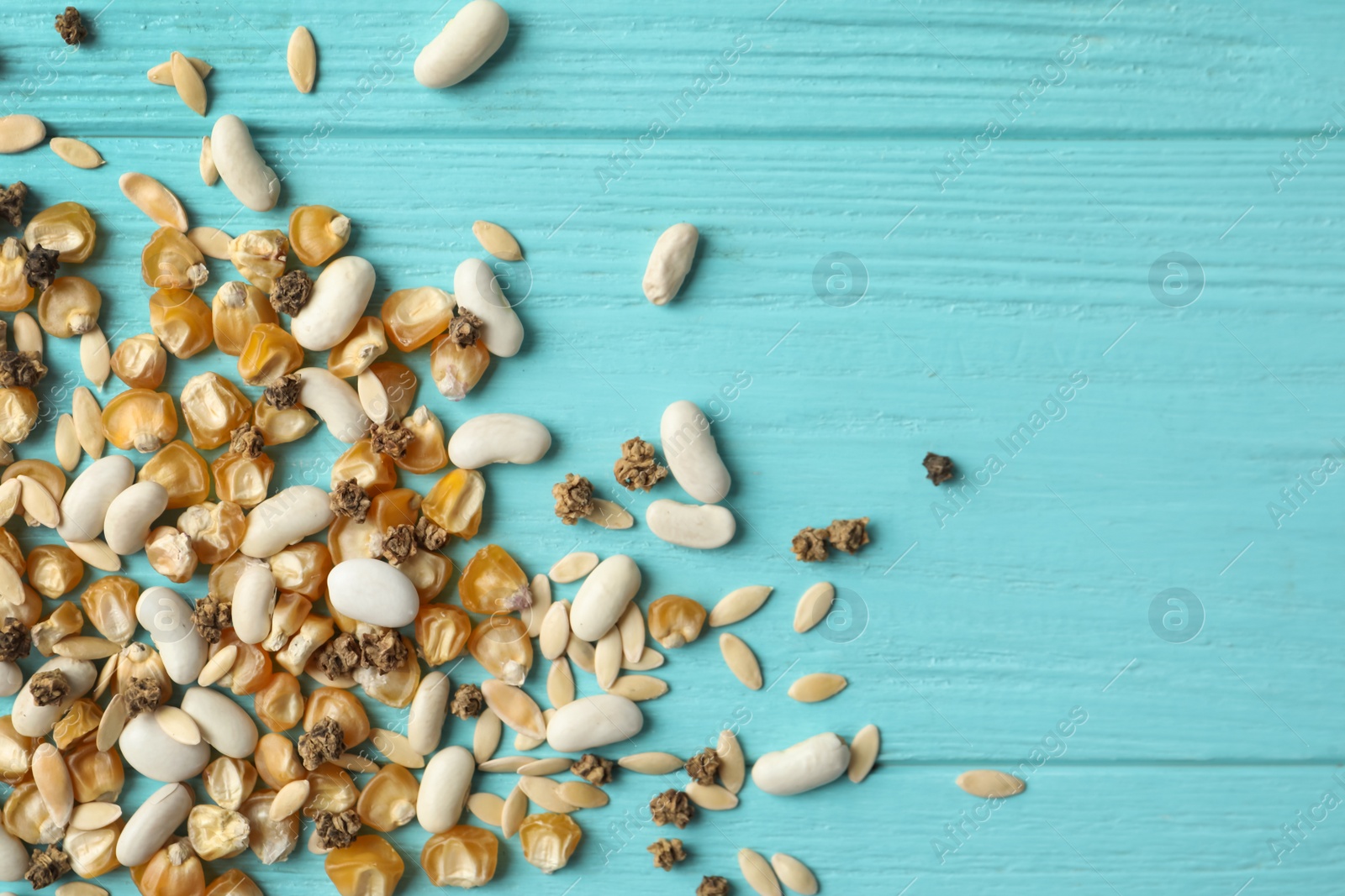 Photo of Mixed vegetable seeds on light blue wooden background, flat lay