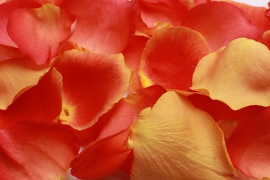 Photo of Beautiful fresh rose petals as background, closeup