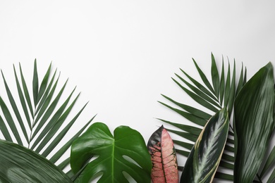 Flat lay composition with tropical leaves and space for text on white background