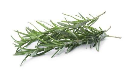 Photo of Fresh green rosemary twigs isolated on white