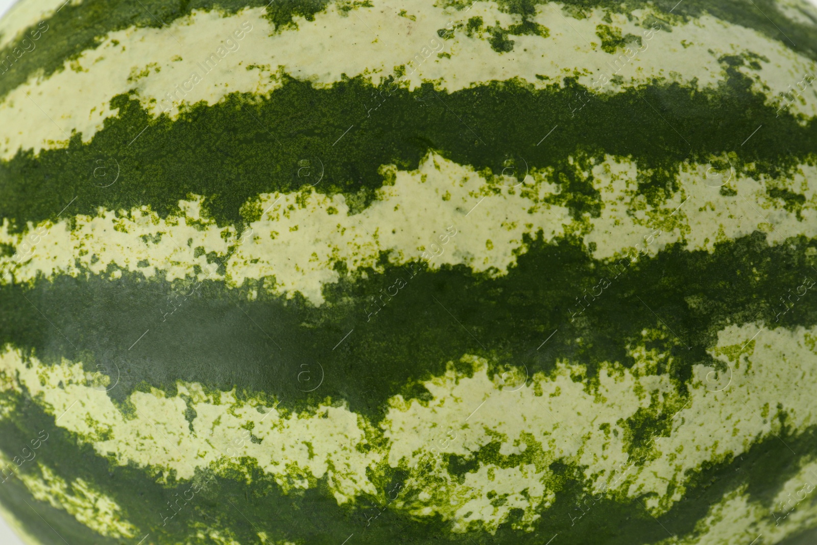 Photo of Delicious ripe whole watermelon as background, closeup