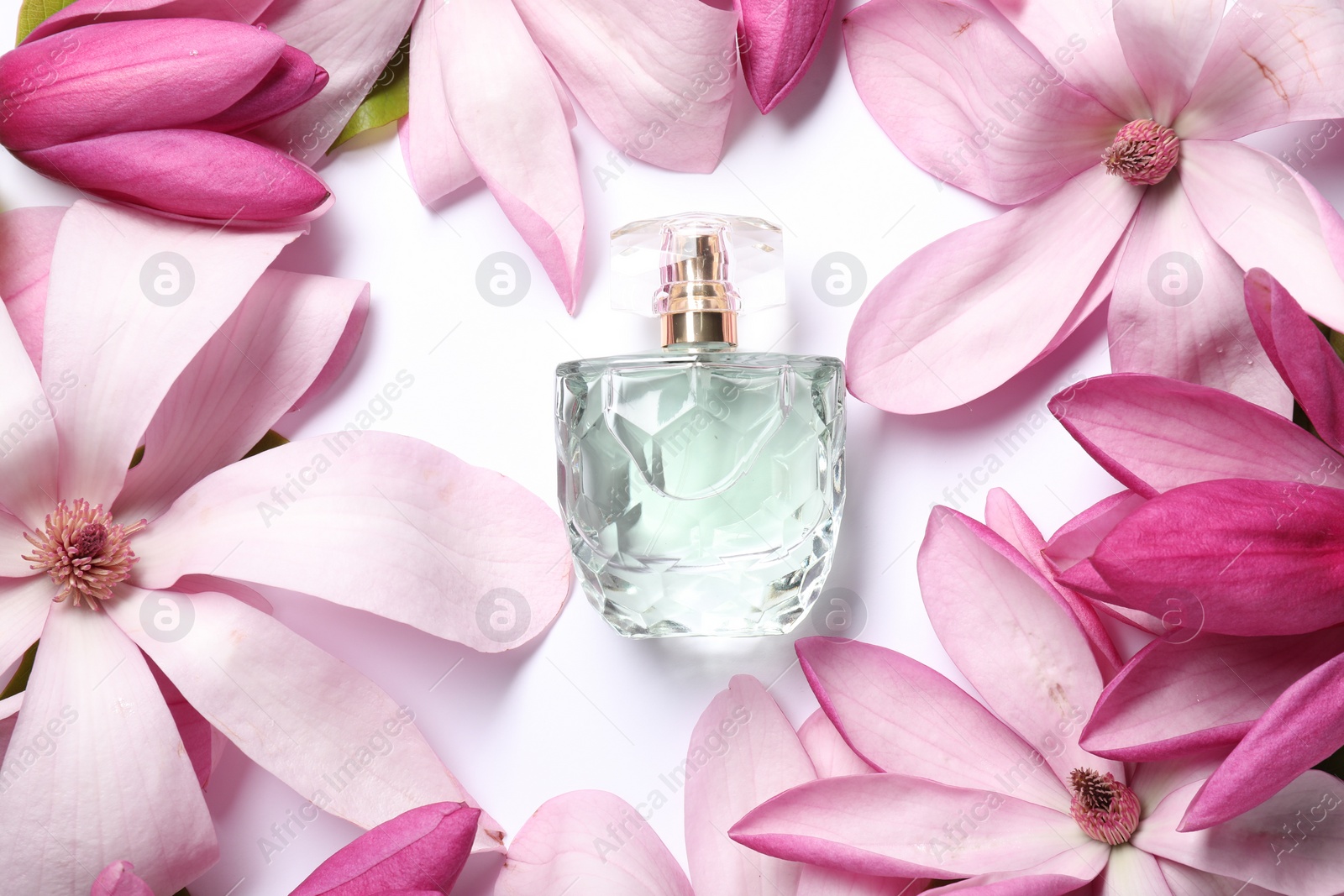 Photo of Beautiful pink magnolia flowers and bottle of perfume on white background, flat lay