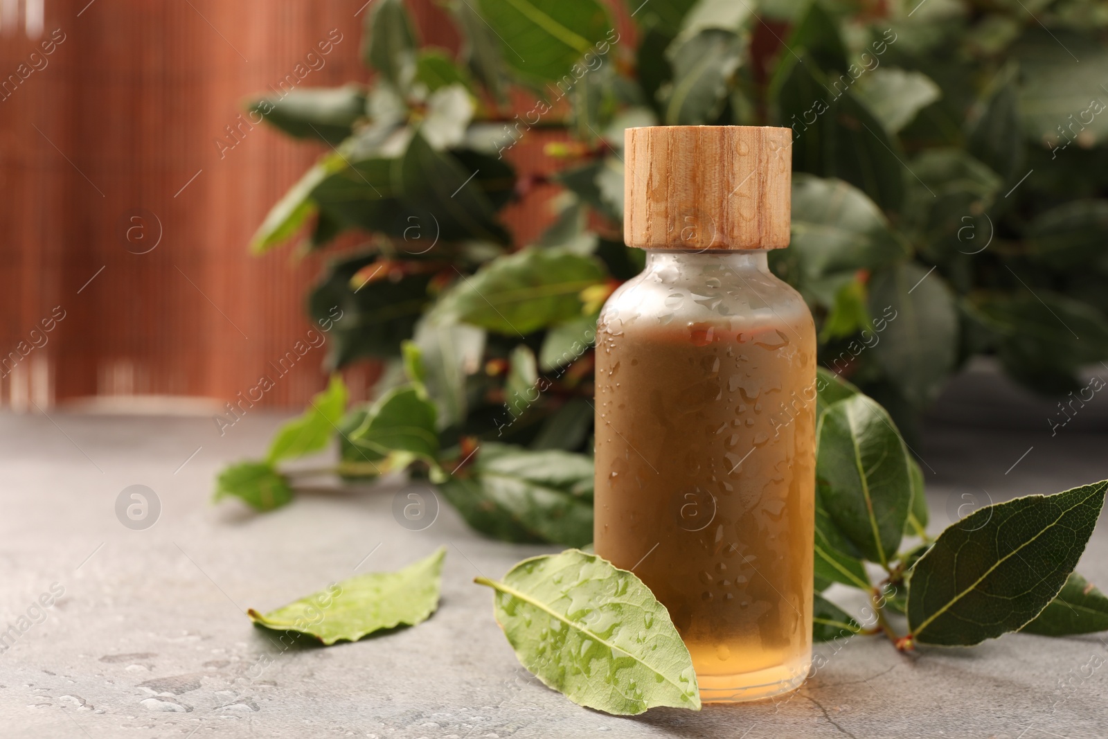 Photo of Bottle of bay essential oil and fresh leaves on light grey table. Space for text