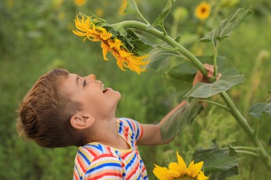 Photo of Cute little boy with blooming sunflower in field. Child spending time in nature