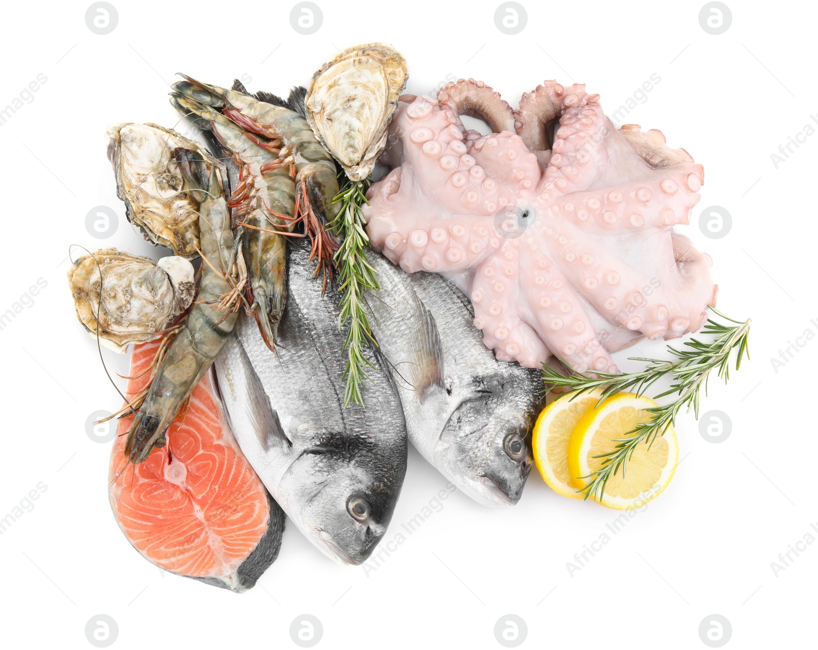 Photo of Fresh dorado fish, octopus, shrimps, oysters and salmon on white background, top view