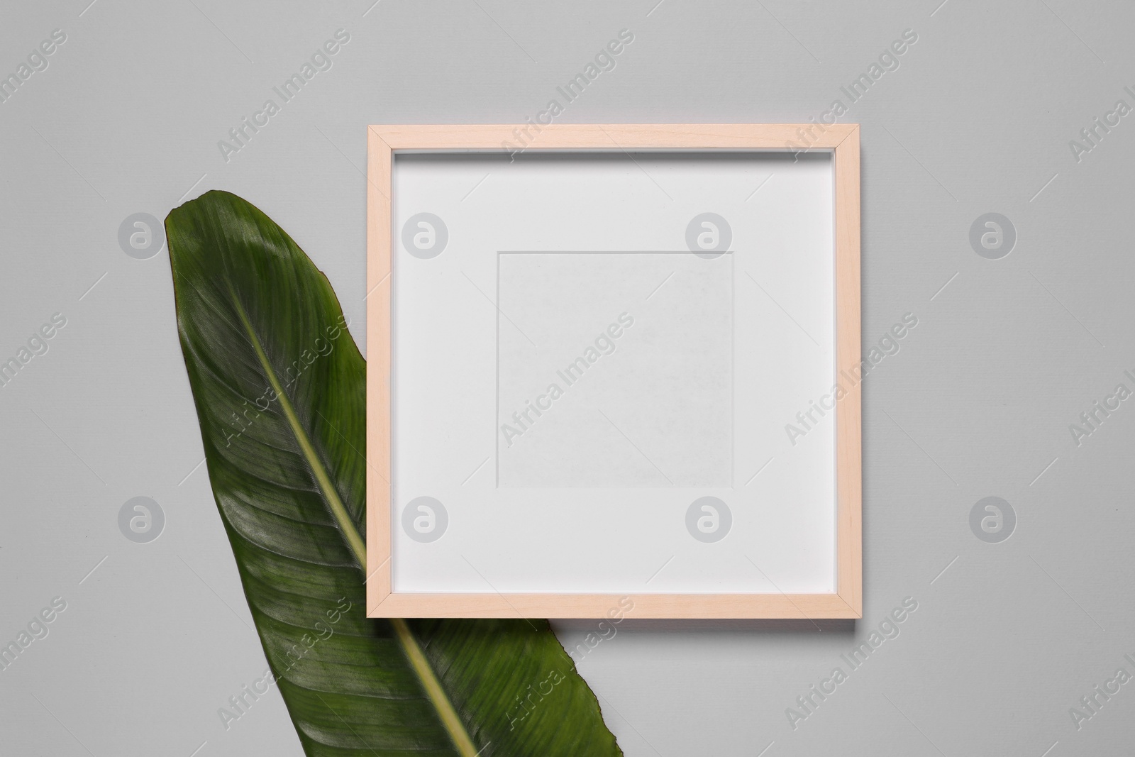 Photo of Empty photo frame and green leaf on light background, flat lay. Space for design