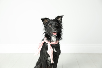 Photo of Cute black dog with neckerchief near light wall in room