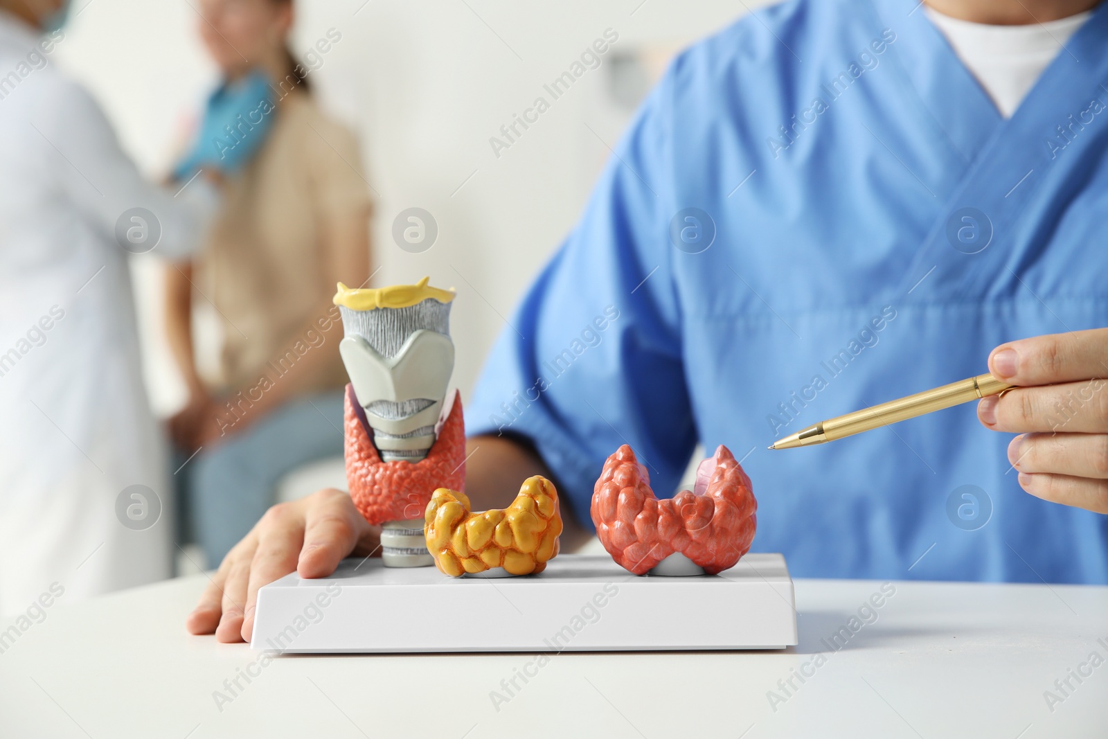 Photo of Endocrinologist showing thyroid gland models at table while another doctor examining patient in hospital, closeup