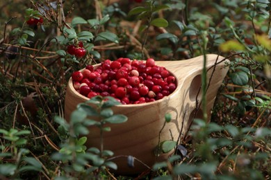 Photo of Wooden cup with many tasty ripe lingonberries in forest outdoors