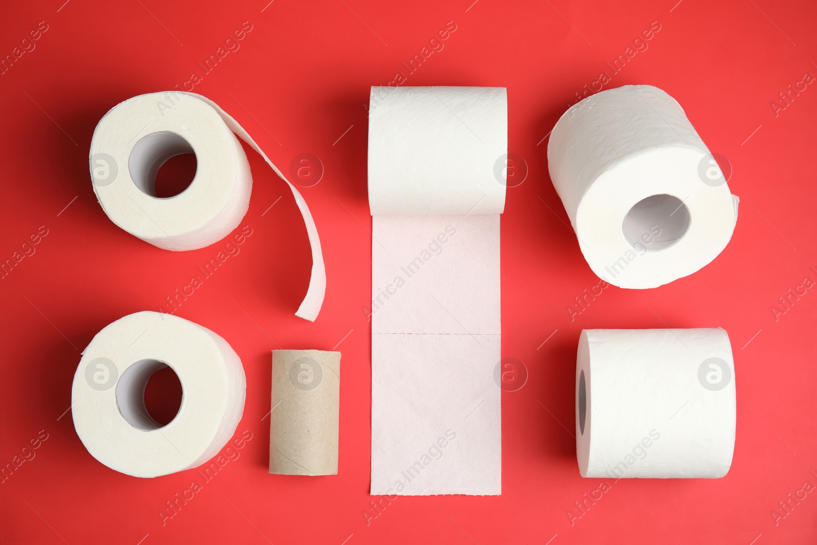 Photo of Flat lay composition with toilet paper rolls on color background